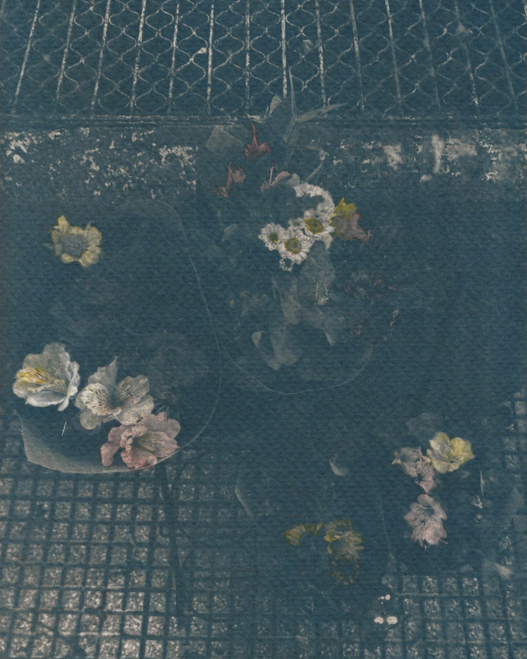 Las flores se dan para los vivos VII