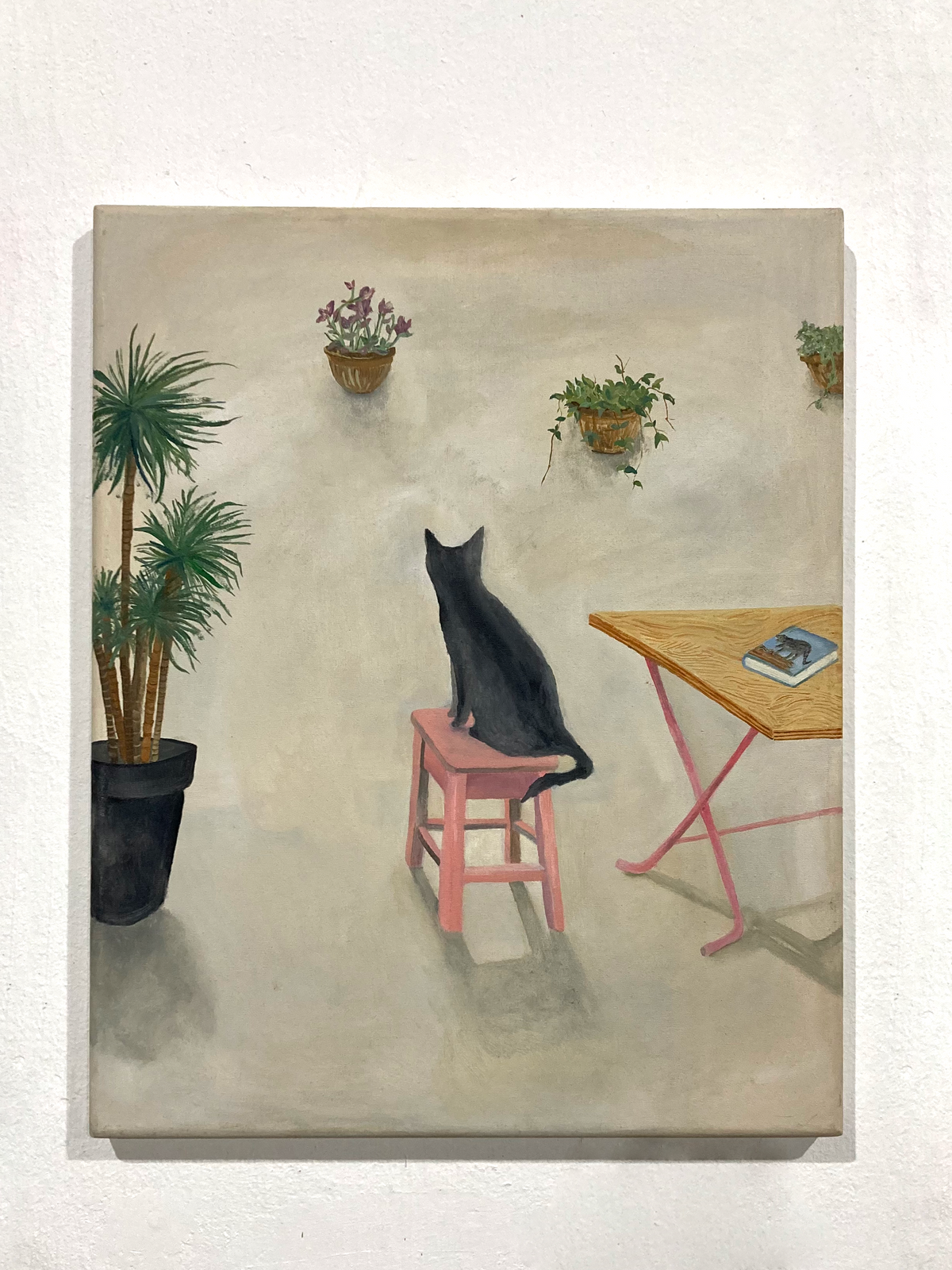 Cero y Riña de gatos