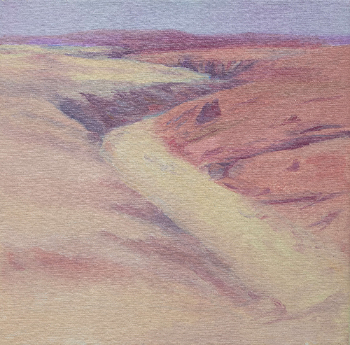 Desierto rojo I